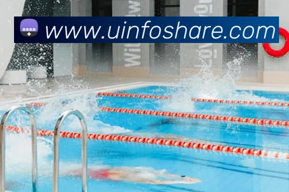 多媒体互动体验